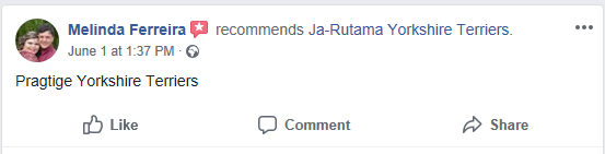 Jarutama Reviews
